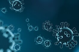 Ook coronabesmetting bij partner en jongste kind vrouw Diemen