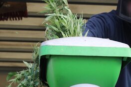 Wietplantage opgerold in woning Amstelveen