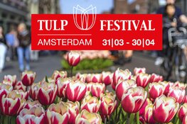 Annulering opening Tulp Festival 2020