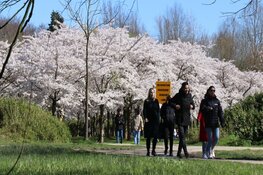 Opnieuw drukte in Bloesempark