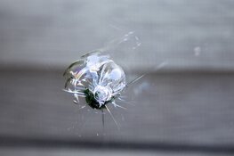 Restaurant Borneosteiger drie keer beschoten in één week