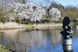 Beeldentuin Nic Jonk: &#39;Een plaatje&#39;!