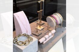 Getuigen gezocht overval juwelierszaak Willemsparkweg