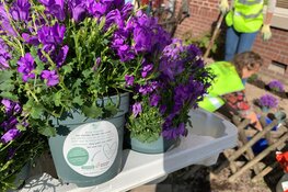 Kwekers zorgen voor de stad