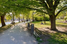 Veel boetes uitgedeeld in Amsterdamse Westerpark
