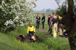 Brandweer redt paard uit benarde situatie in Weesp