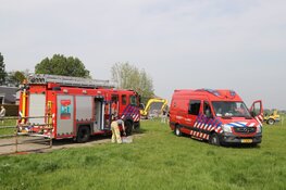 Brandweer redt paard uit benarde situatie in Weesp