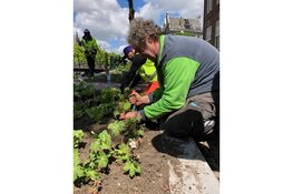 Kloveniersburgwal heeft een tuin aan de gracht