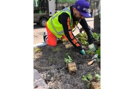 Kloveniersburgwal heeft een tuin aan de gracht