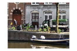 Kloveniersburgwal heeft een tuin aan de gracht
