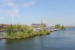 Buurt en kunst willen Drijvende tuinen