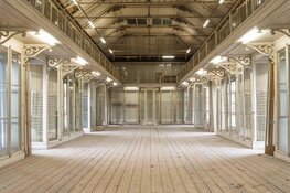 ARTIS lanceert museum over de mens