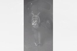 Getuigen gezocht: Overval avondwinkel Nieuwe Maanstraat (maart 2020)