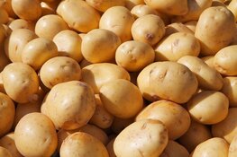 Aardappelberg uitgestort over NDSM-werf, Amsterdammers kunnen tas vullen