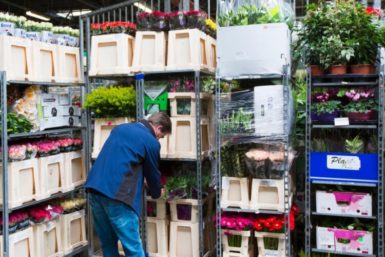 Inspecteur Sierteelt