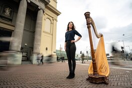 Een harp onder de riem tijdens Music in the Making