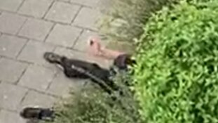 Wie wordt er in elkaar getrapt