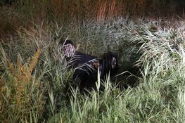 Auto op de kop in de sloot bij Ouderkerk aan de Amstel