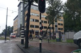 Boom valt om tegen bovenleiding van tram