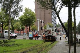 Boom valt om tegen bovenleiding van tram