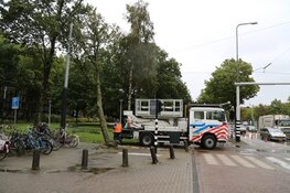 Boom valt om tegen bovenleiding van tram