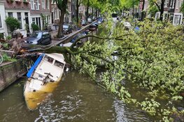 Boom valt op boot in gracht Amsterdam