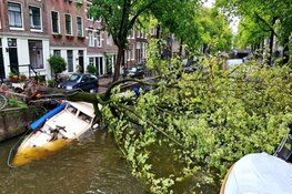 Boom valt op boot in gracht Amsterdam