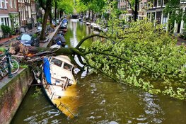 Boom valt op boot in gracht Amsterdam