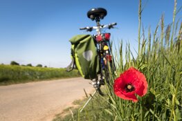 Klik in, hét fietsevenement als afsluiting van het “corona wielerseizoen”
