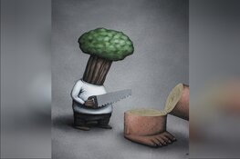 O.D. Gallery bevraagt de relatie tussen mens en natuur