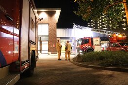 Hulpdiensten vinden vogels in illegale vangkooien op dak van winkelcentrum