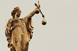 Werkstraf voor oud-Staatssecretaris