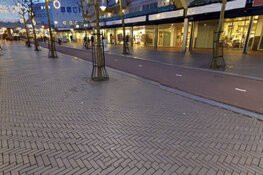 Politie zoekt getuigen bedreiging Reigersbos