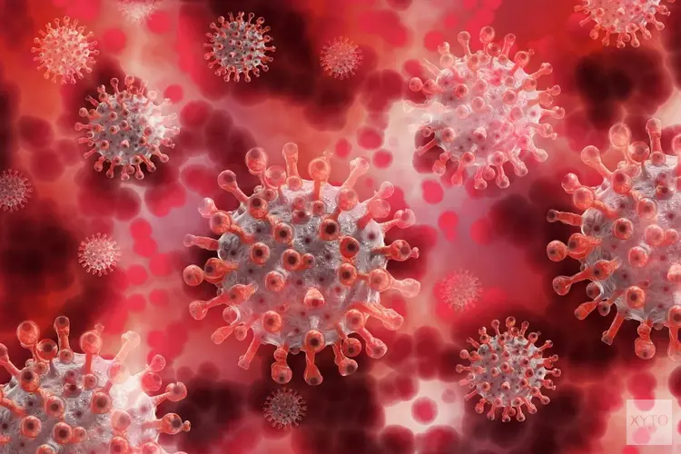 Jongeren motiveren jongeren in de strijd tegen het virus