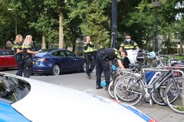 Steekincident Ganzenhoef