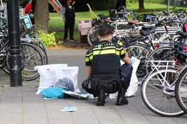 Steekincident Ganzenhoef