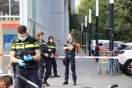 Steekincident Ganzenhoef