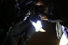 Schoten gelost in Amsterdam-Noord, politie doet onderzoek