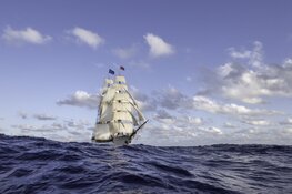 Mini-SAIL bij Het Scheepvaartmuseum