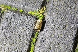 Woning aan Huigenbos in Amsterdam doelwit schietpartij