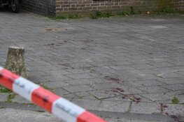 Gewonde bij steekincident in Bos en Lommer