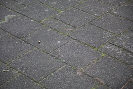 Geschoten op flat Naaldwijkstraat in Amsterdam