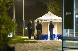 Overleden vrouw op de rijbaan Reigersbosdreef