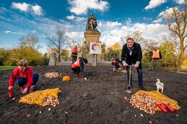Albert Verlinde en sporters planten eerste tulpenbollen Tulp Festival 2021 aan de voet van Vondel