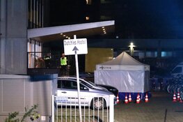 Man overleden na steekincident bij hostel Bos en Lommer