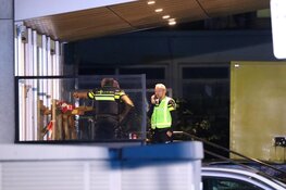 Man overleden na steekincident bij hostel Bos en Lommer
