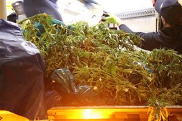 Grote wietplantage opgerold in Zuidoost