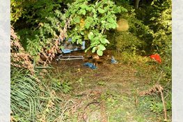 Wie heeft meer informatie over de gewelddadige dood van Krzysztof Malinowski?