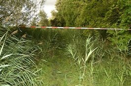 Wie heeft meer informatie over de gewelddadige dood van Krzysztof Malinowski?