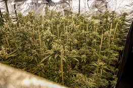 Hennepkwekerij in garagebox gevonden na melding schietpartij